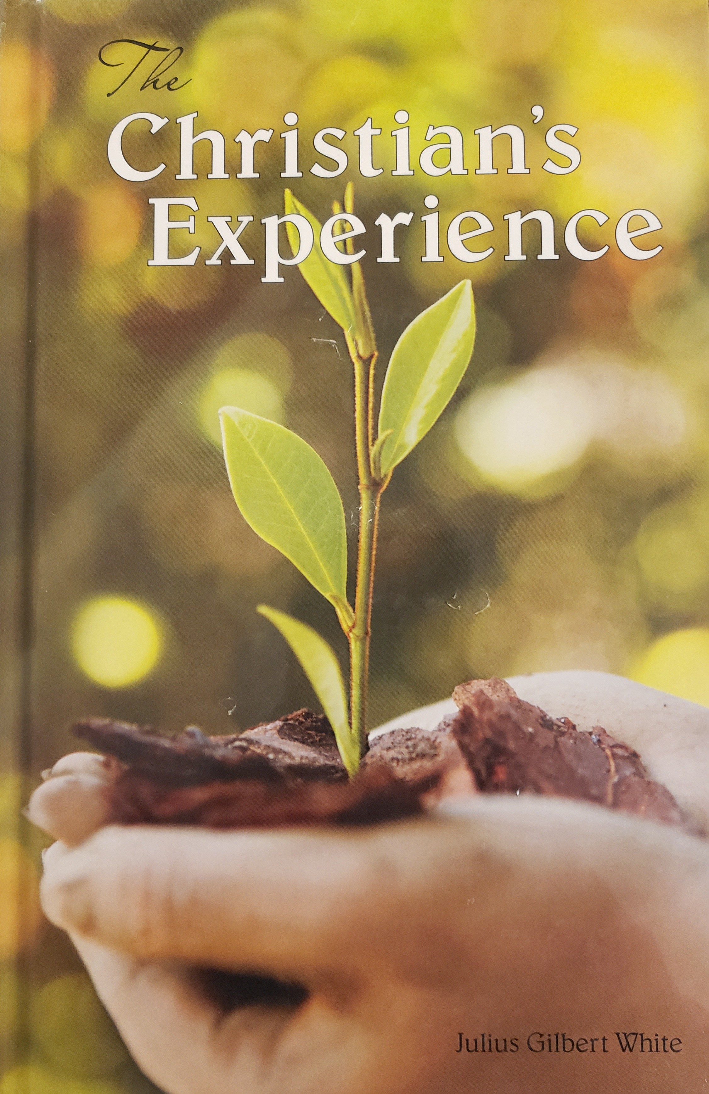 The Christian's Experience